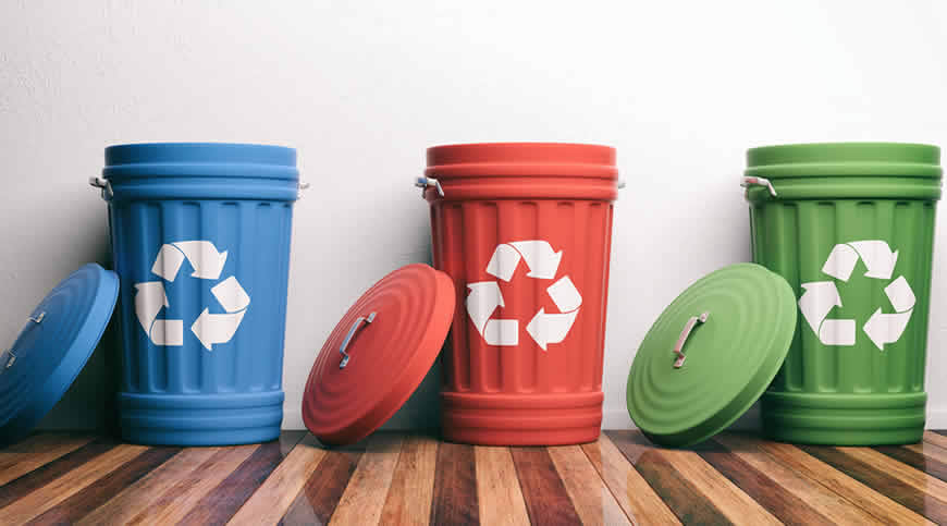 10 Things You Should Never Toss in Your Garbage Can: Expert Advice